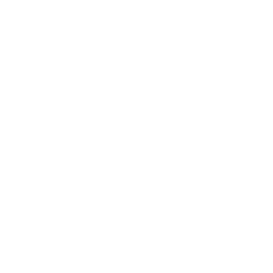 Festzug